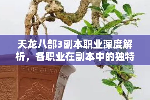 各职业在副本中的独特表现与策略图片