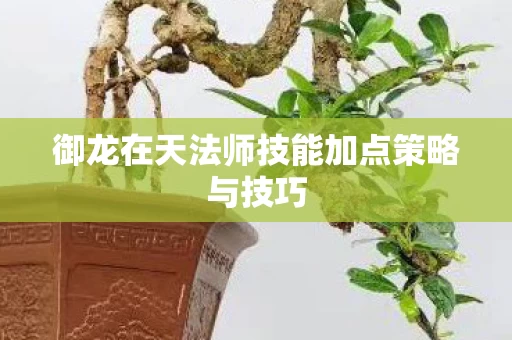 御龙在天法师技能加点策略与技巧图片