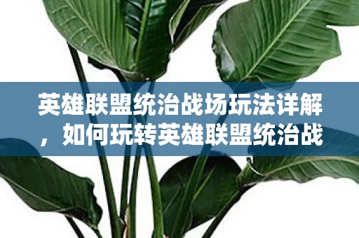 英雄联盟统治战场玩法详解图片