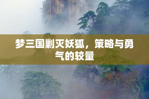 策略与勇气的较量图片
