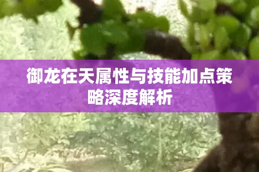 御龙在天属性与技能加点策略深度解析图片