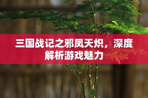 三国战记之邪凤天炽图片