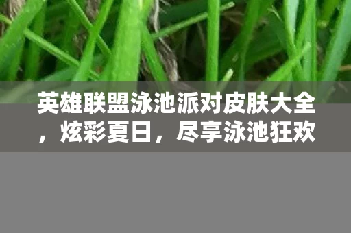 英雄联盟泳池派对皮肤大全图片