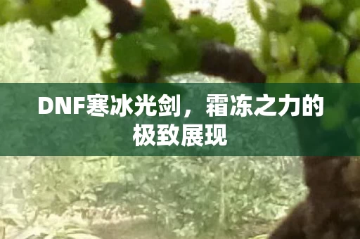 霜冻之力的极致展现图片