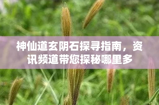资讯频道带您探秘哪里多图片