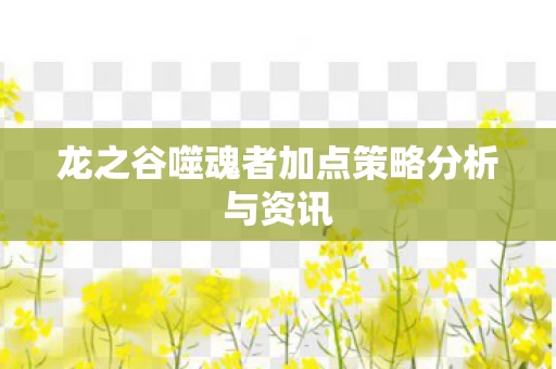 龙之谷噬魂者加点策略分析与资讯图片