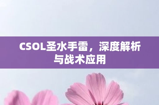 深度解析与战术应用图片