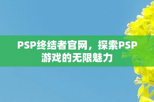 探索PSP游戏的无限魅力图片