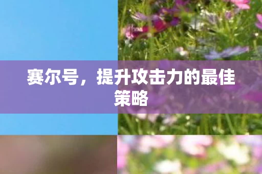 提升攻击力的最佳策略图片