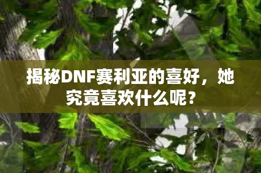 揭秘DNF赛利亚的喜好图片