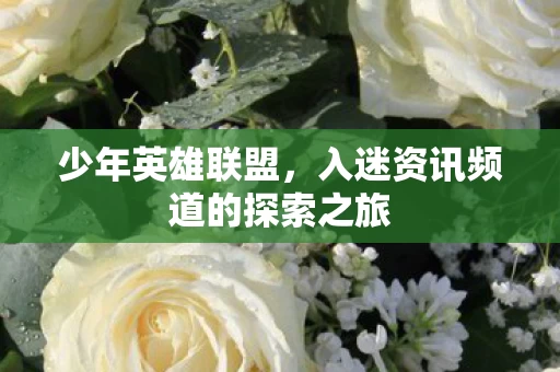 入迷资讯频道的探索之旅图片