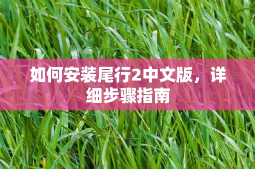 如何安装尾行2中文版图片