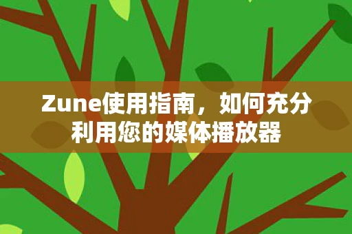 如何充分利用您的媒体播放器图片