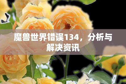魔兽世界错误134图片
