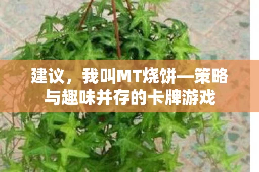 策略与趣味并存的卡牌游戏图片