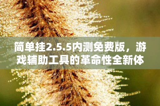 游戏辅助工具的革命性全新体验图片