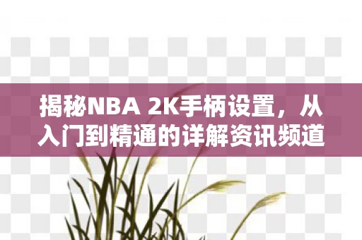 从入门到精通的详解资讯频道图片