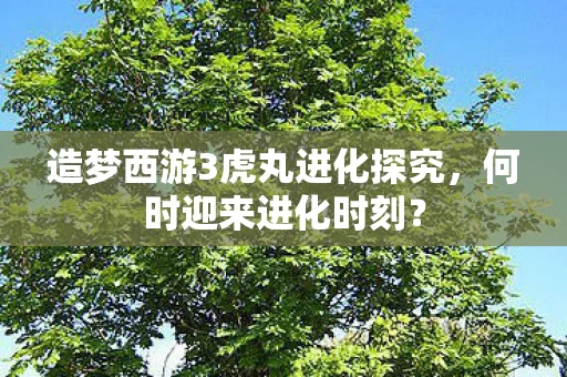 造梦西游3虎丸进化探究图片