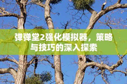 策略与技巧的深入探索图片