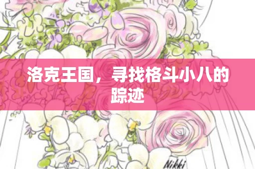 寻找格斗小八的踪迹图片