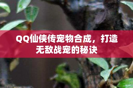 QQ仙侠传宠物合成图片