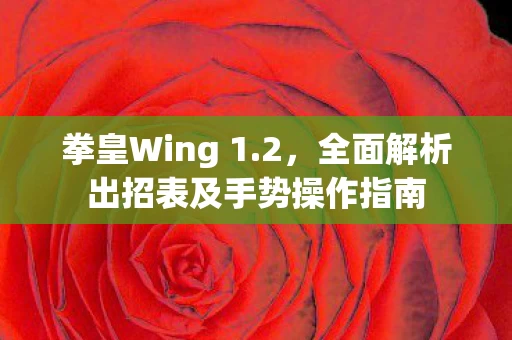 全面解析出招表及手势操作指南图片
