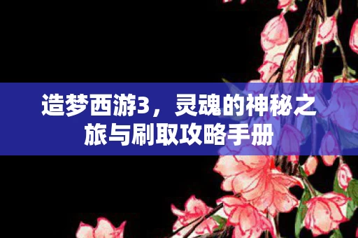 灵魂的神秘之旅与刷取攻略手册图片