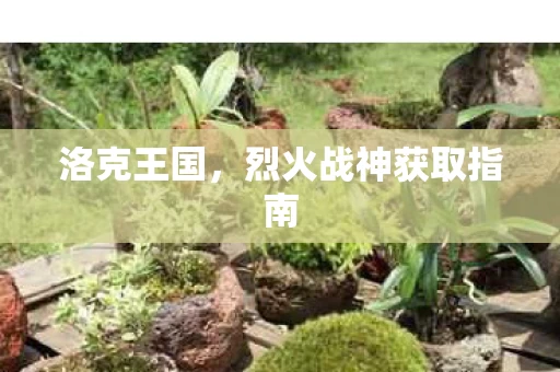 烈火战神获取指南图片