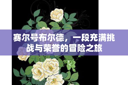 一段充满挑战与荣誉的冒险之旅图片