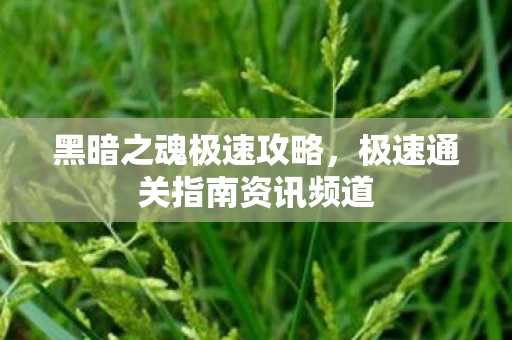 极速通关指南资讯频道图片