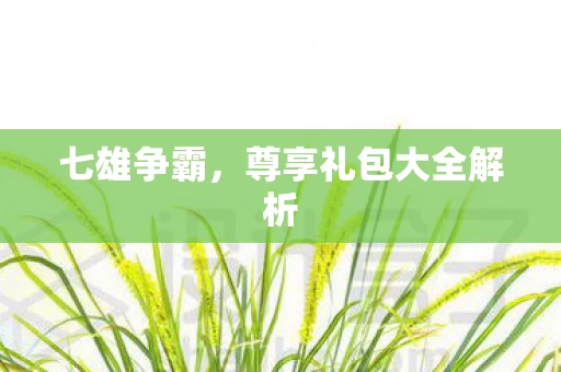 尊享礼包大全解析图片