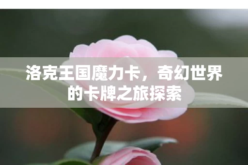 奇幻世界的卡牌之旅探索图片