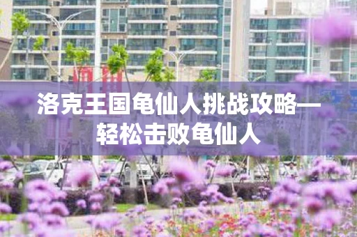 洛克王国龟仙人挑战攻略图片