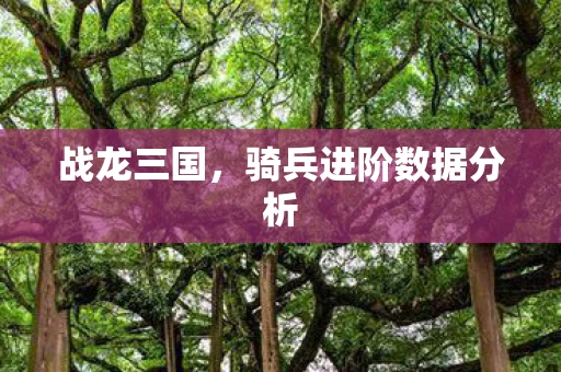 骑兵进阶数据分析图片