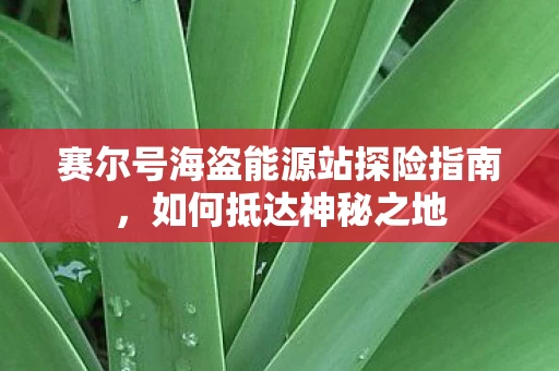 赛尔号海盗能源站探险指南图片