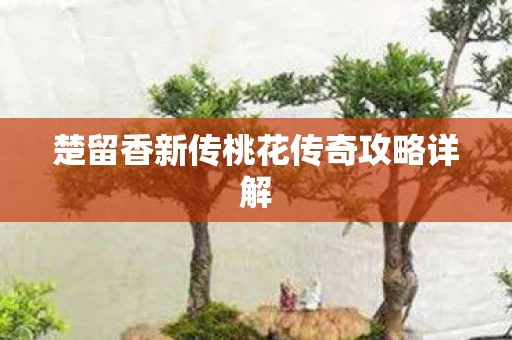 楚留香新传桃花传奇攻略详解图片
