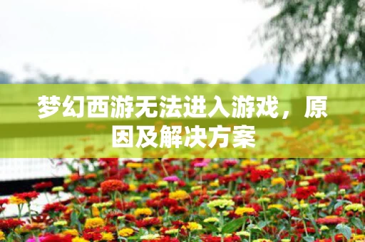 梦幻西游无法进入游戏图片