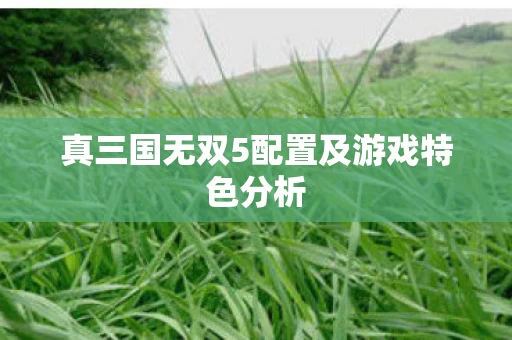 真三国无双5配置及游戏特色分析图片