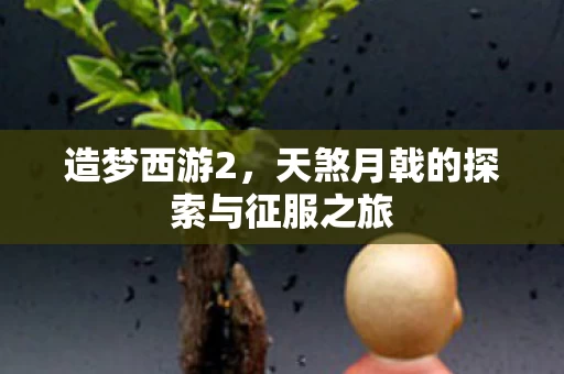 天煞月戟的探索与征服之旅图片