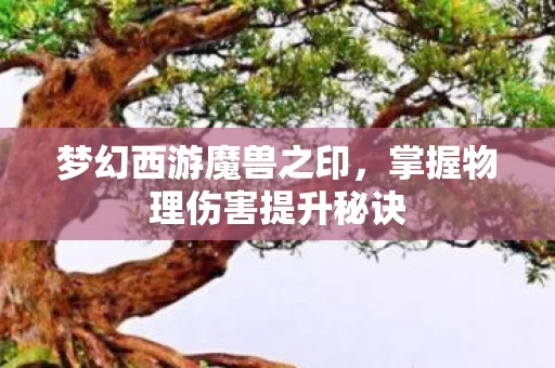 掌握物理伤害提升秘诀图片