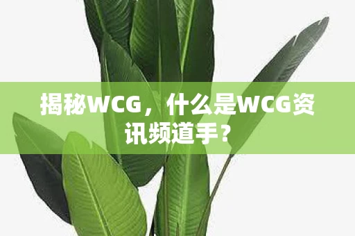 什么是WCG资讯频道手图片