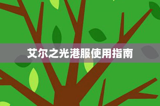 艾尔之光港服使用指南图片
