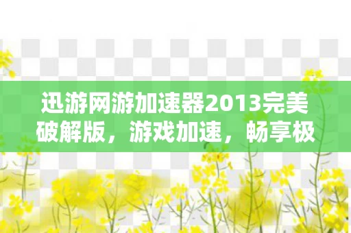 迅游网游加速器2013完美破解版图片