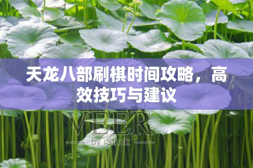 天龙八部刷棋时间攻略图片