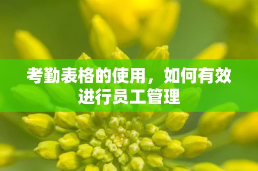 如何有效进行员工管理图片