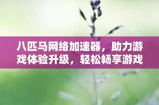 八匹马网络加速器图片
