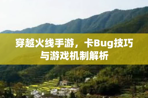 卡Bug技巧与游戏机制解析图片