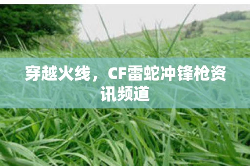 CF雷蛇冲锋枪资讯频道图片