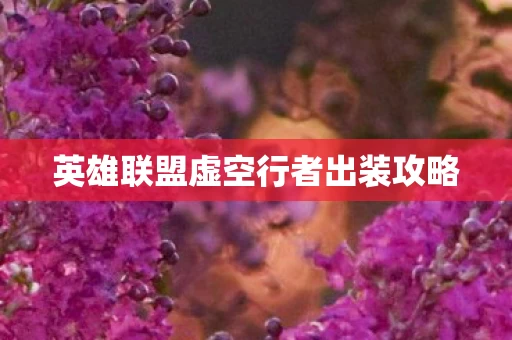 英雄联盟虚空行者出装攻略图片