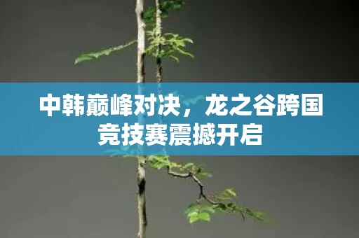龙之谷跨国竞技赛震撼开启图片